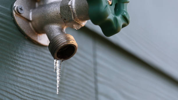 Best Shower Repair Services  in Carrollton, OH